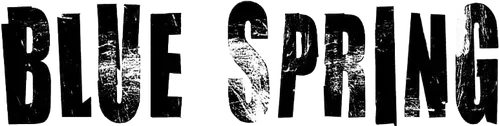 Blue Spring logo