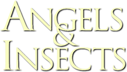 Angels and Insects logo