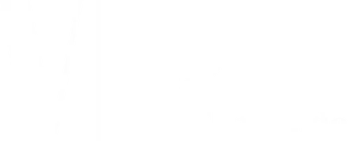 V.I.P logo