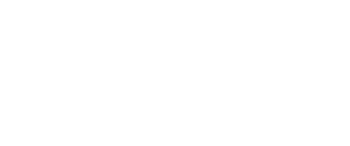 Donkey Skin logo