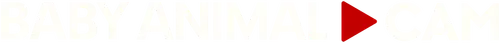Baby Animal Cam logo