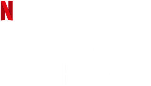 Partner Track logo