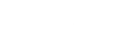 Visitor Q logo