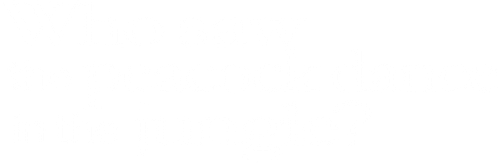 Who Saw the Peacock Dance in the Jungle? logo