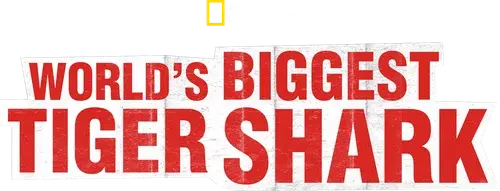 World's Biggest Tiger Shark logo