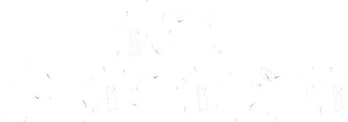 Santastein logo