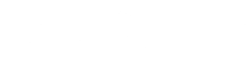 The Inspection logo