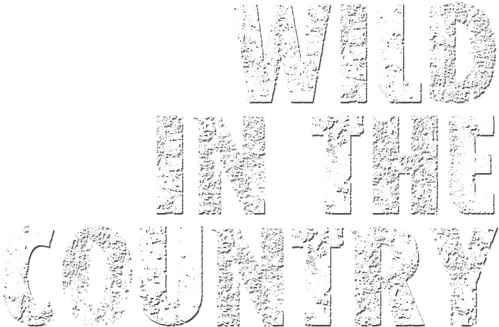 Wild in the Country logo