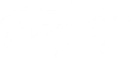 Secrets of Playboy logo