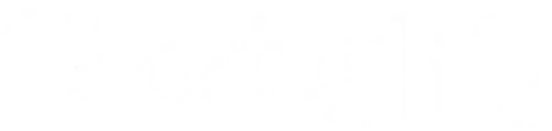 Chasing Life logo