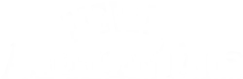 Fievel's American Tails logo