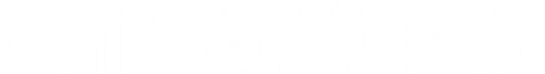 Chicago P.D. logo