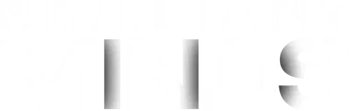 Brilliant Minds logo
