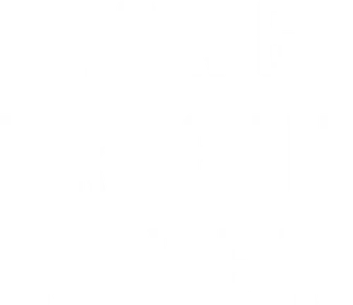 Long Bright River logo