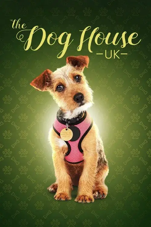 The Dog House