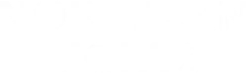 Northern Lights logo