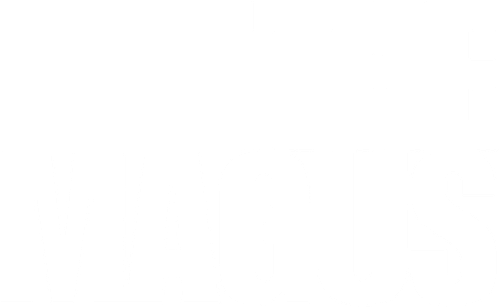 The Magus logo