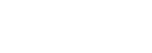 OBEX logo