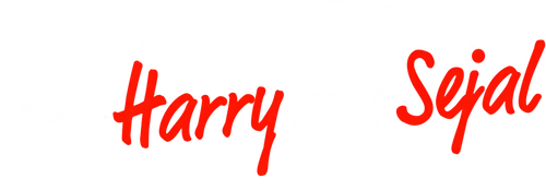 Jab Harry Met Sejal logo