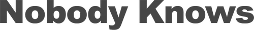 Nobody Knows logo