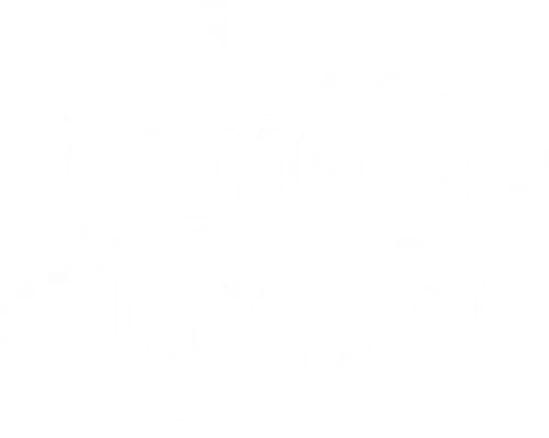 Jungle Junction logo