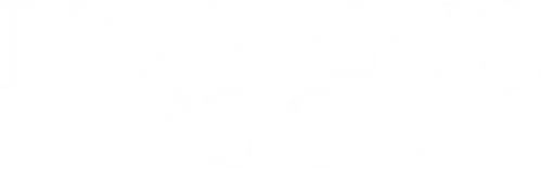 Nobody's Fool logo