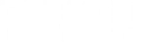 Furious logo