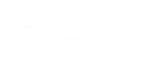 The Secret of Roan Inish logo