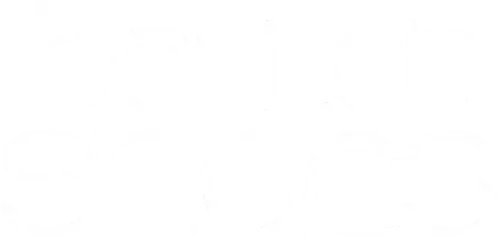 Ballet Shoes logo