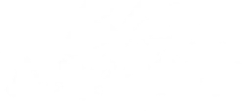 Big Dragon logo
