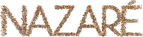 Nazaré logo