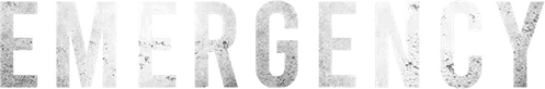 Emergency logo