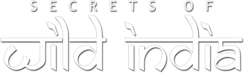 Secrets of Wild India logo