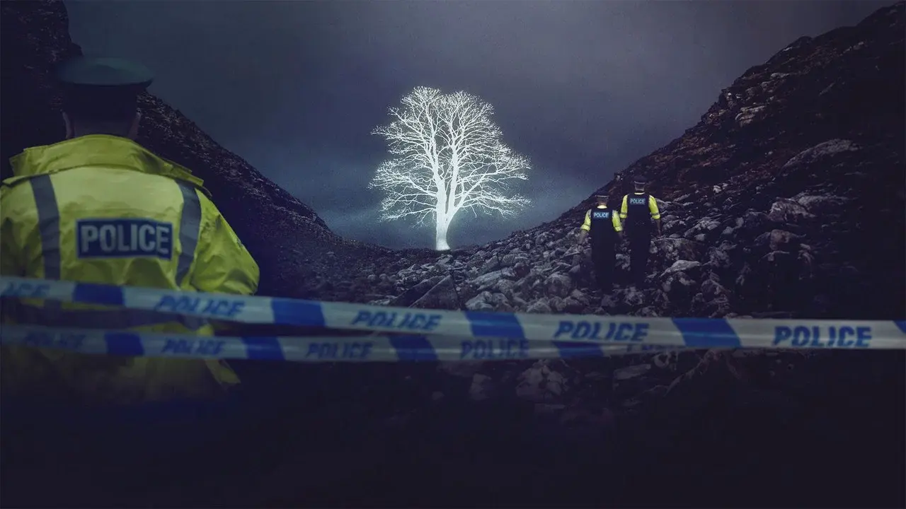 The Sycamore Gap Mystery