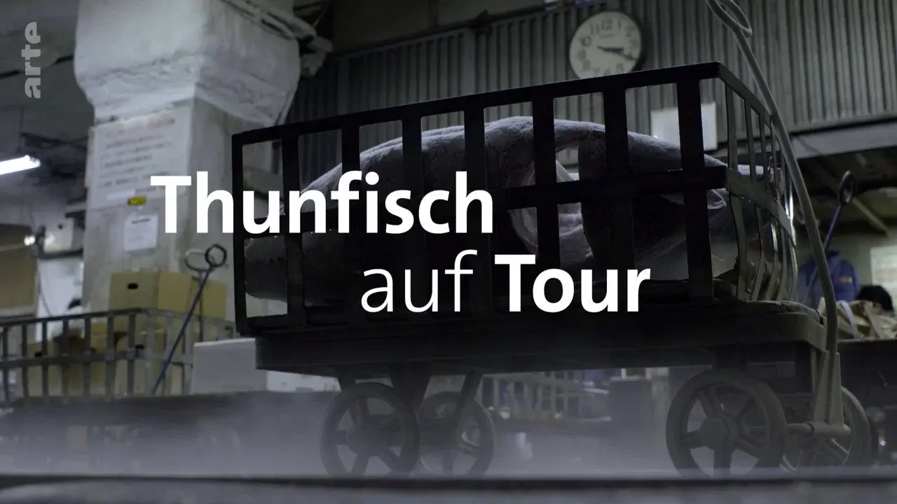 Tuna on Tour