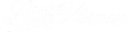 Little Women logo